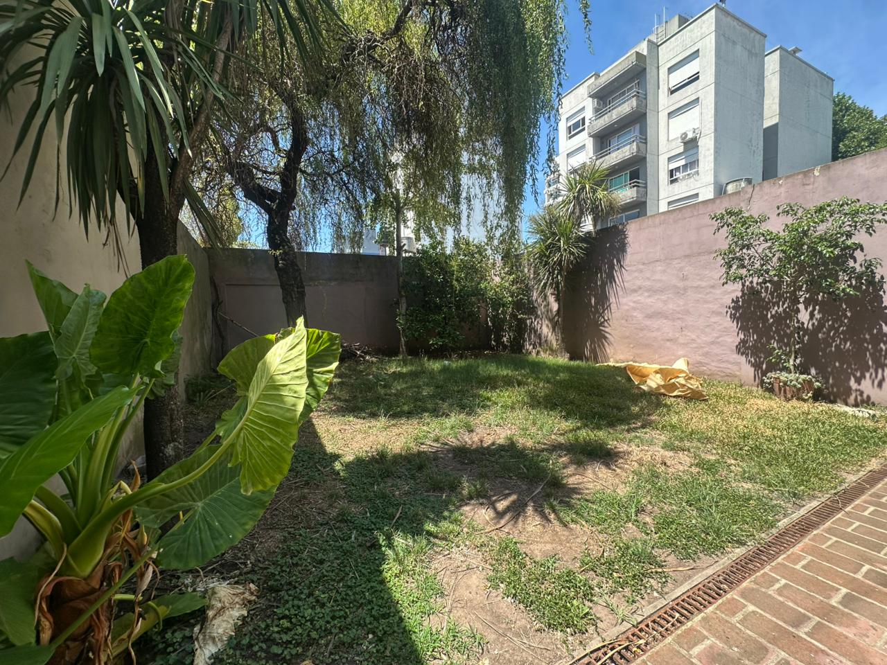 WhatsApp Image 2026-01-26 at 12.21.03 PM (2)